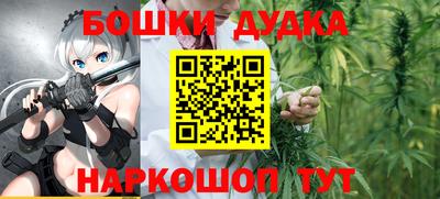 индика Можайск