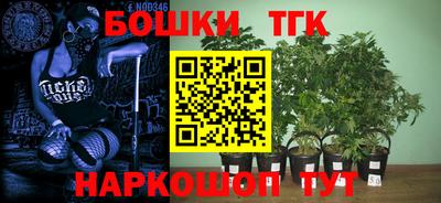 индика Можайск