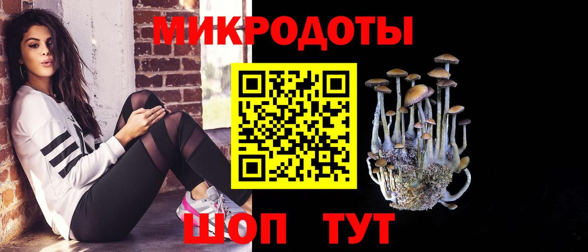 Шали  Галлюциногенные грибы мицелий  Галлюциногенные грибы GOLDEN TEACHER  Вход с VPN 